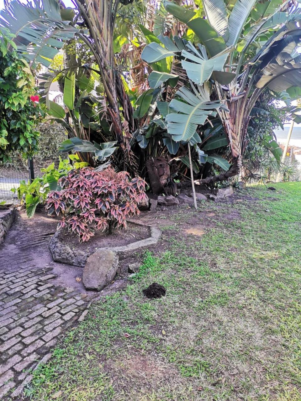 Villa Del Sol Margate Exterior foto